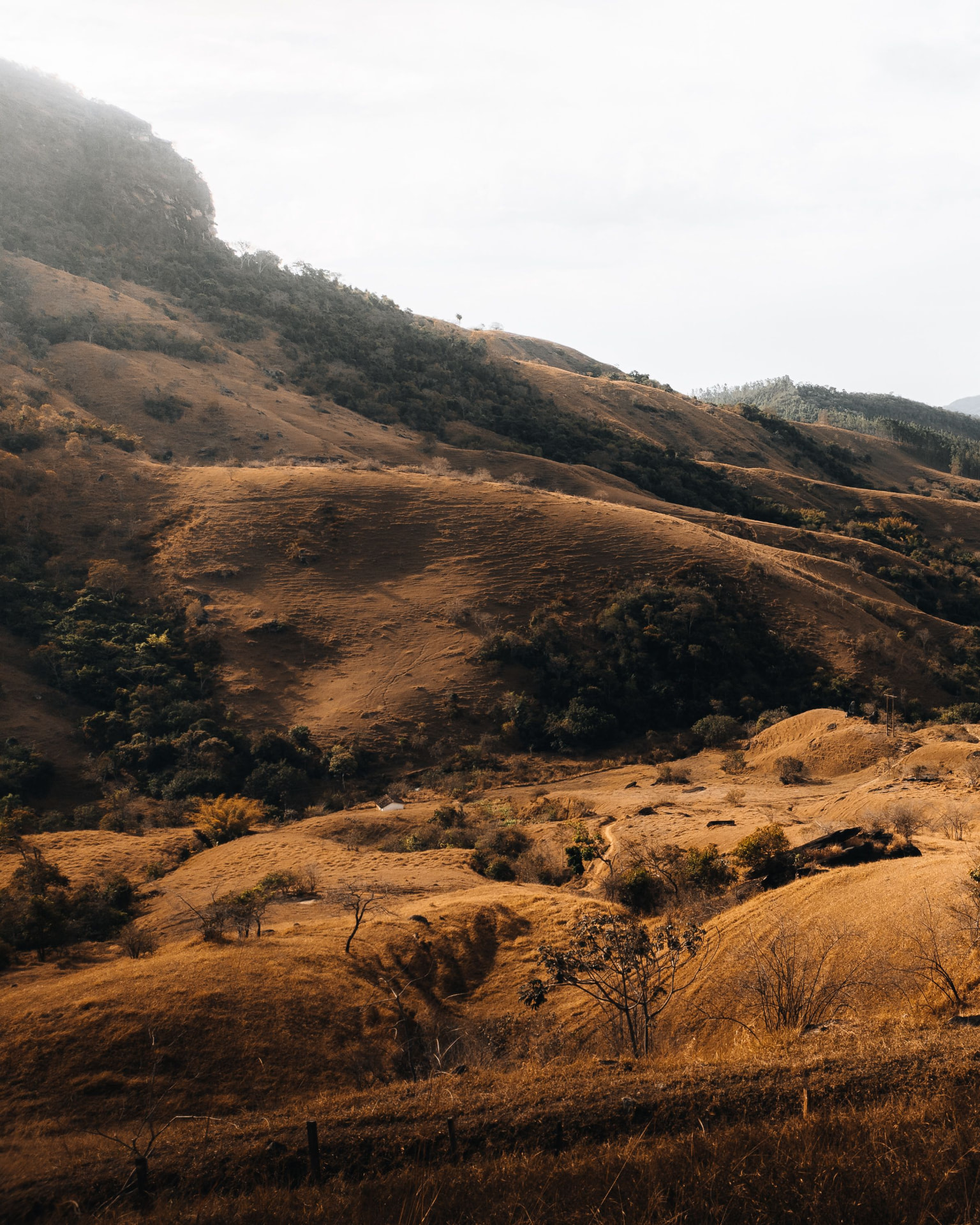 Ridgeline above open rangeland